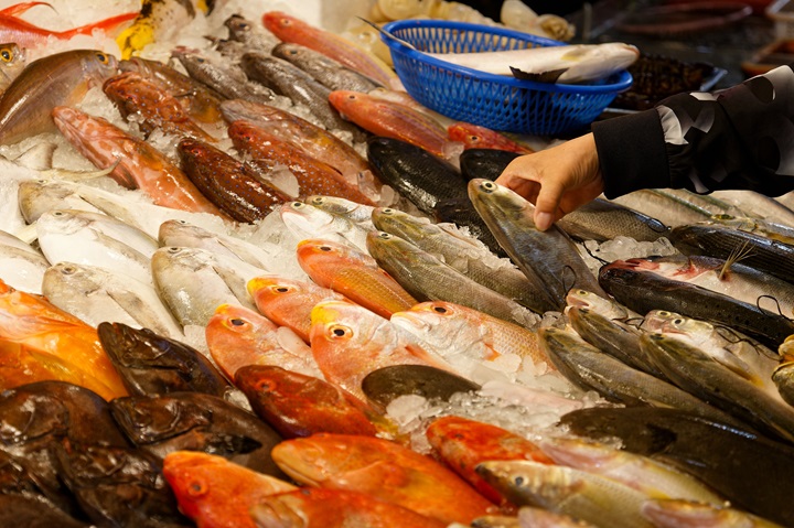 竹圍漁港是北台灣重要的漁產中心。（©Shutterstock） 
