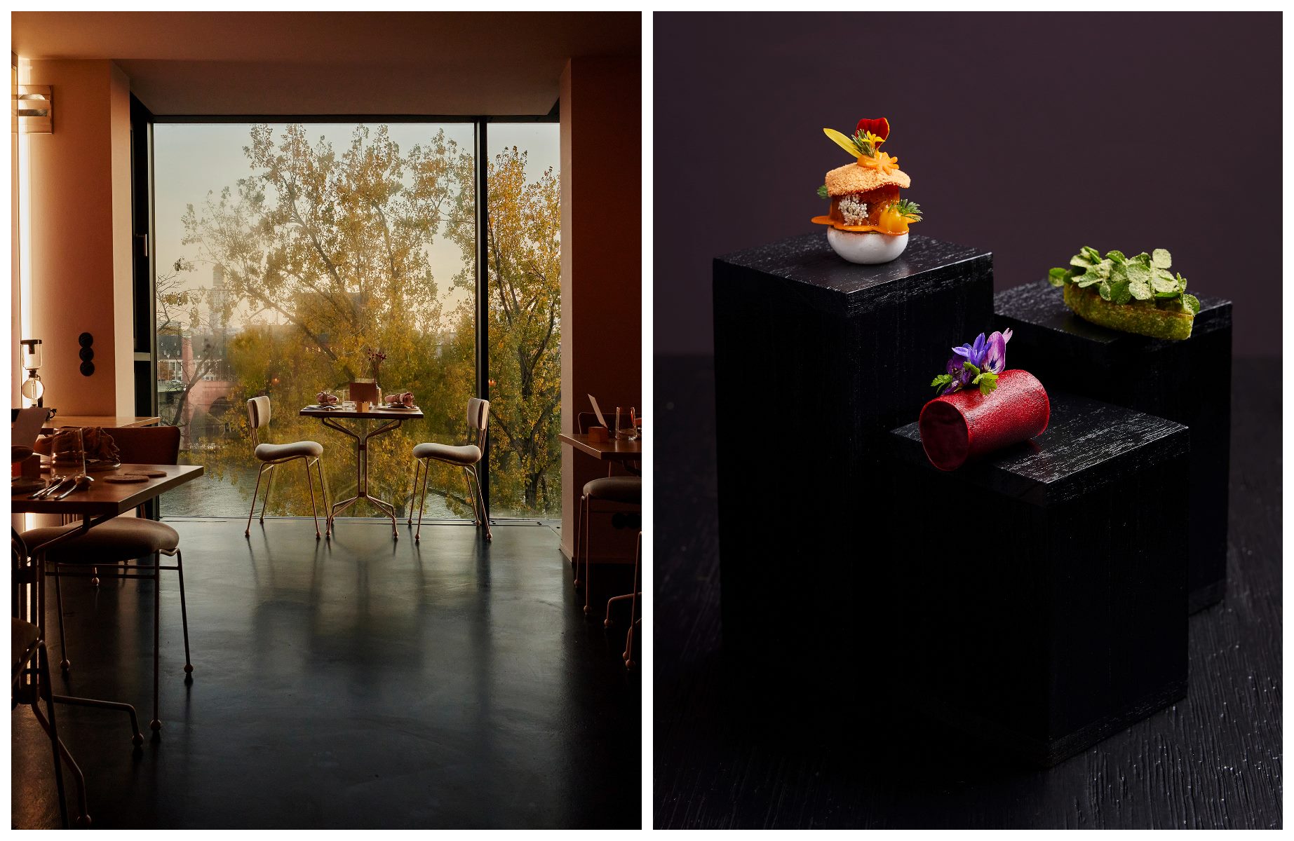 Seven Swans offers a five-hour vegan set menu, with dishes crafted exclusively from regional, ecologically produced ingredients. © Katharina Dubno/Seven Swans