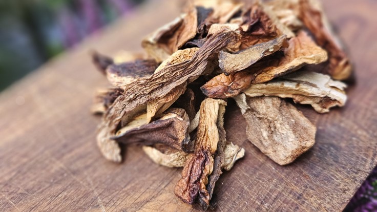 Dried bolitus mushrooms at Kristoforus in Vilnius (© Kristoforus)