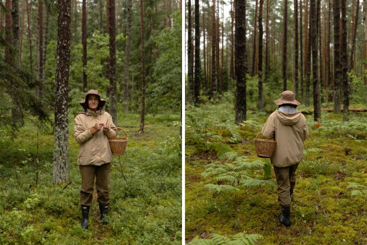 Asta enjoying wandering the forest (© Desertų klubas)