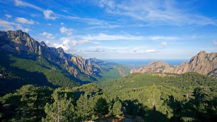 Notre Inspectrice découvre une retraite préservée au coeur de l'Alta Rocca © Le Mouflon d'Or