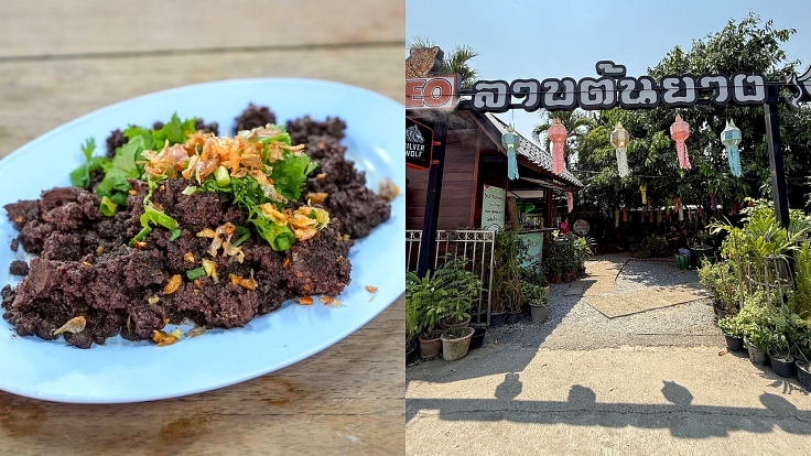 ร้านลาบต้นยางในเชียงใหม่ (© Michelin)