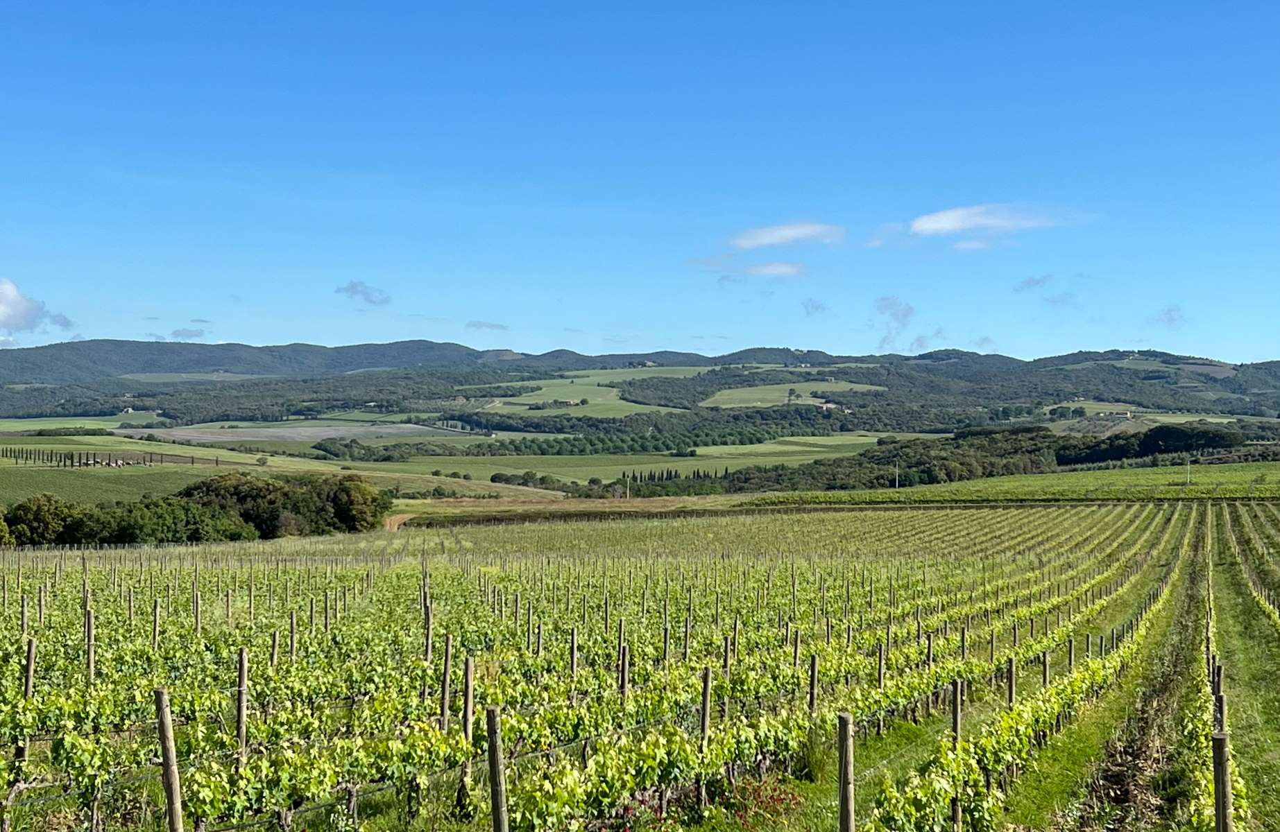 Paesaggio attorno a Montalcino