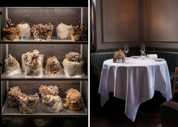 The mushroom cabinet and dining room at The Ledbury. © Justin De Souza, Jonathan Glynn Smith
