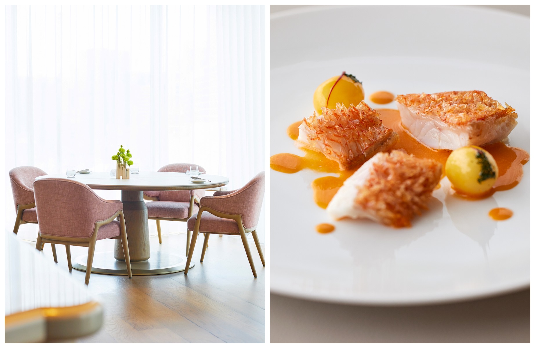 The pared-back dining room and a dish at Tokyo restaurant Sézanne. © Sézanne