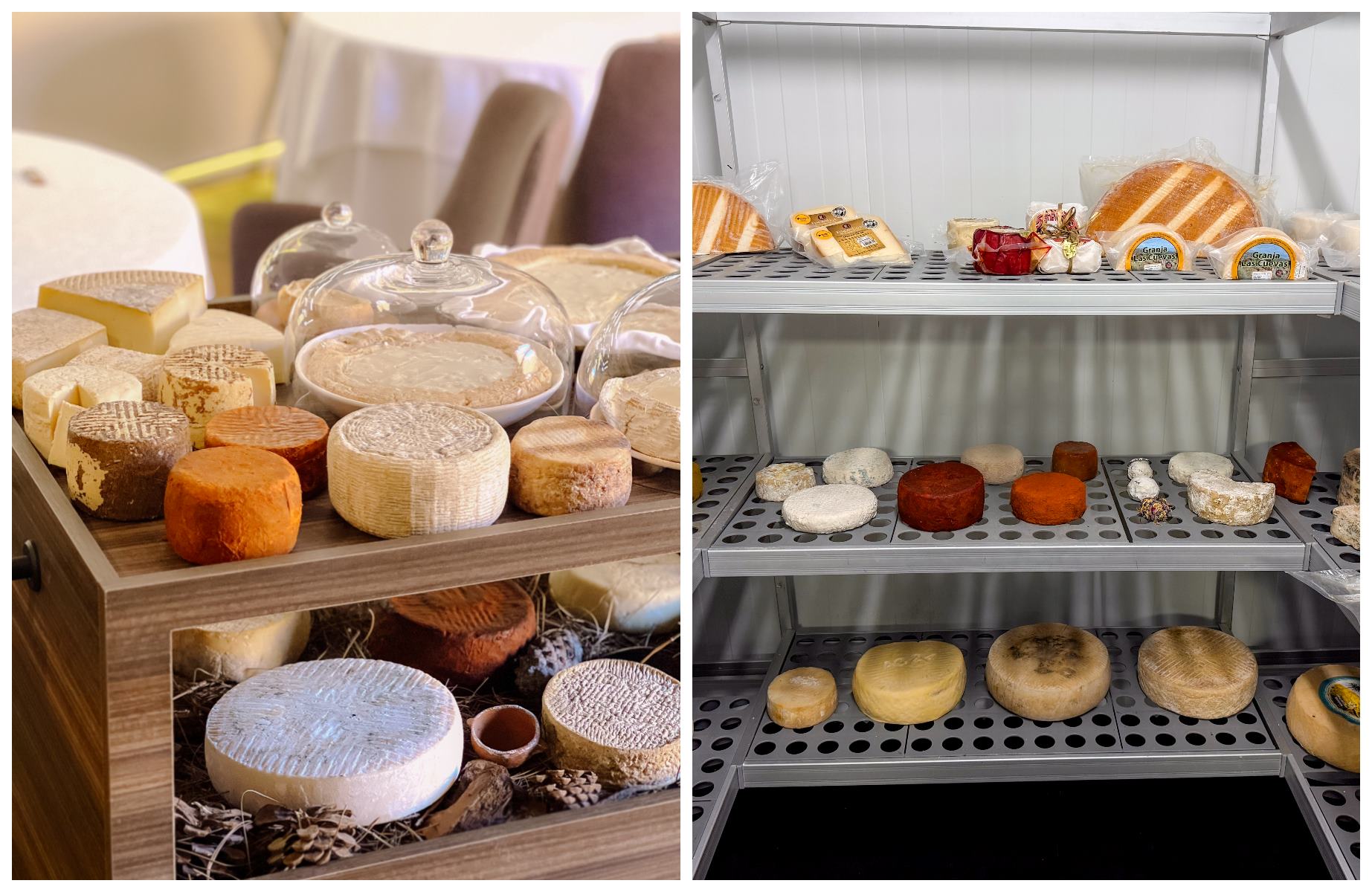 Los 50 quesos de Taste 1973 son de producción canaria. Muchos maduran de forma controlada en las cámaras especiales del restaurante (derecha). © Taste 1973