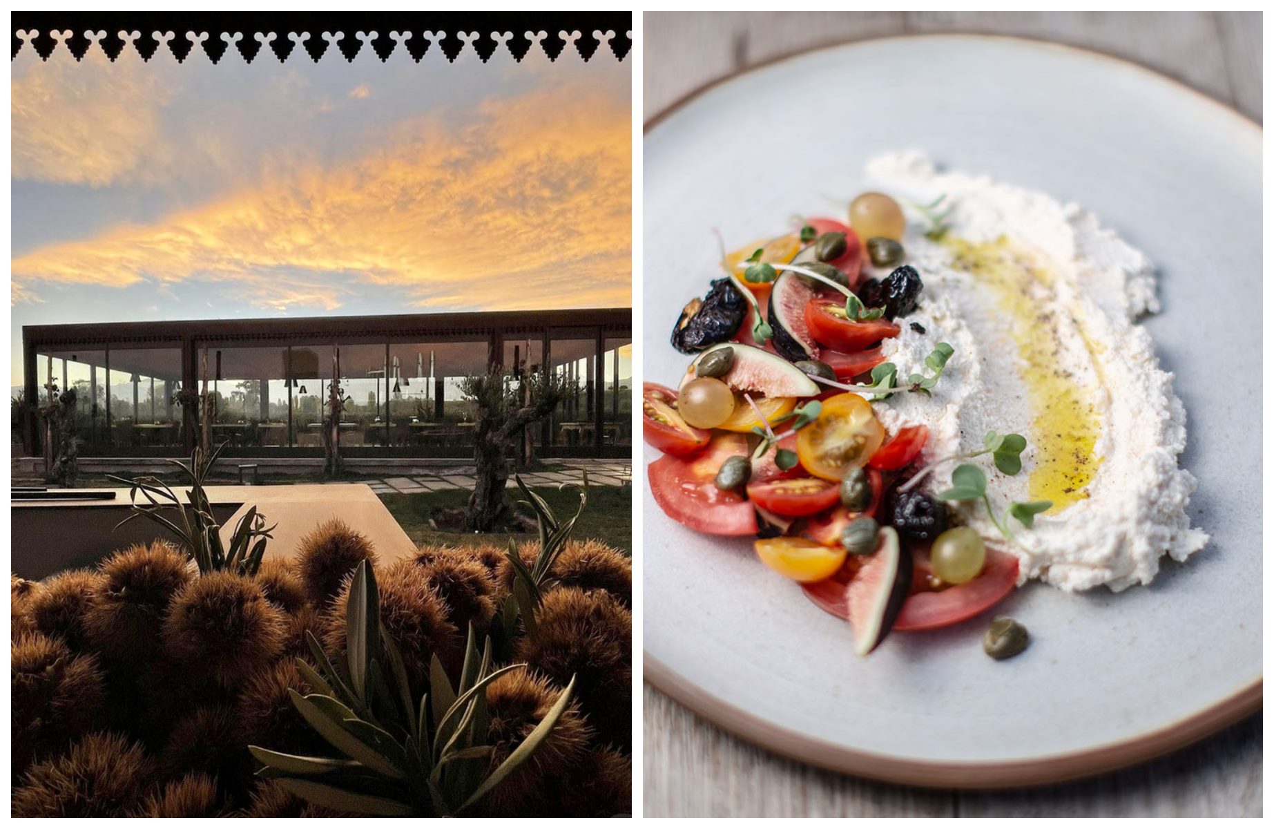 5 Suelos - Cocina de Finca welcoming gatherings among vineyards for up to 1200. © 5 Suelos - Cocina de Finca