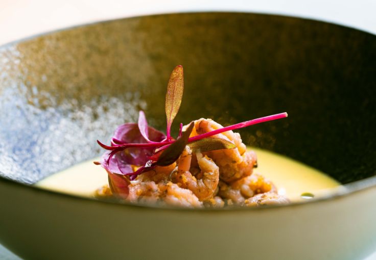 Potted shrimp with curried cauliflower velouté at The Schelly. © Phil Rigby