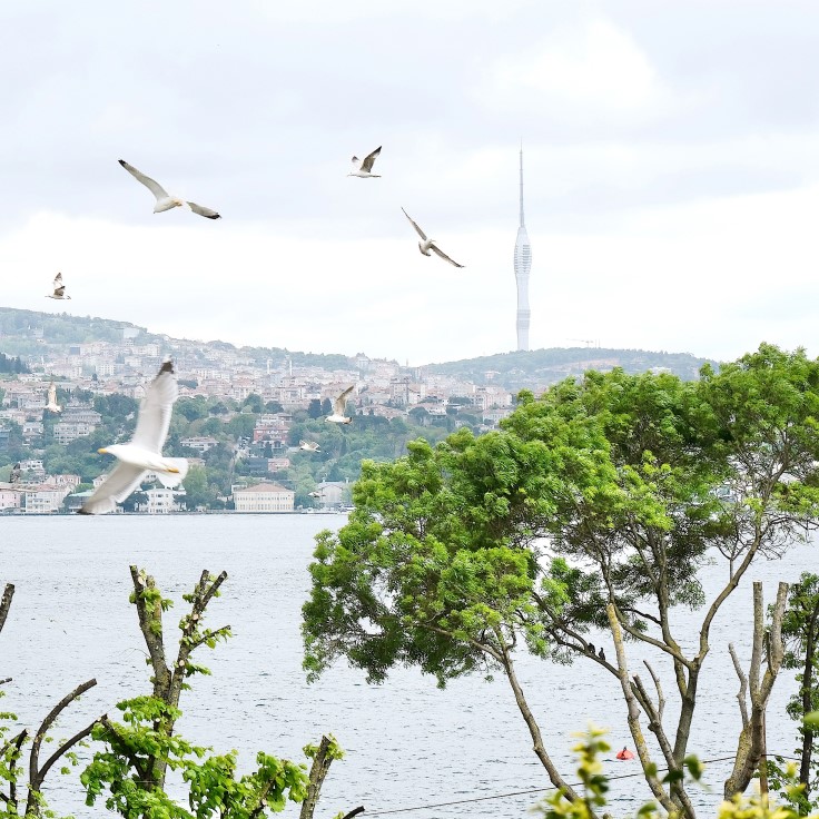 The stunning views from Alaf's airy rooftop terrace. © Alaf