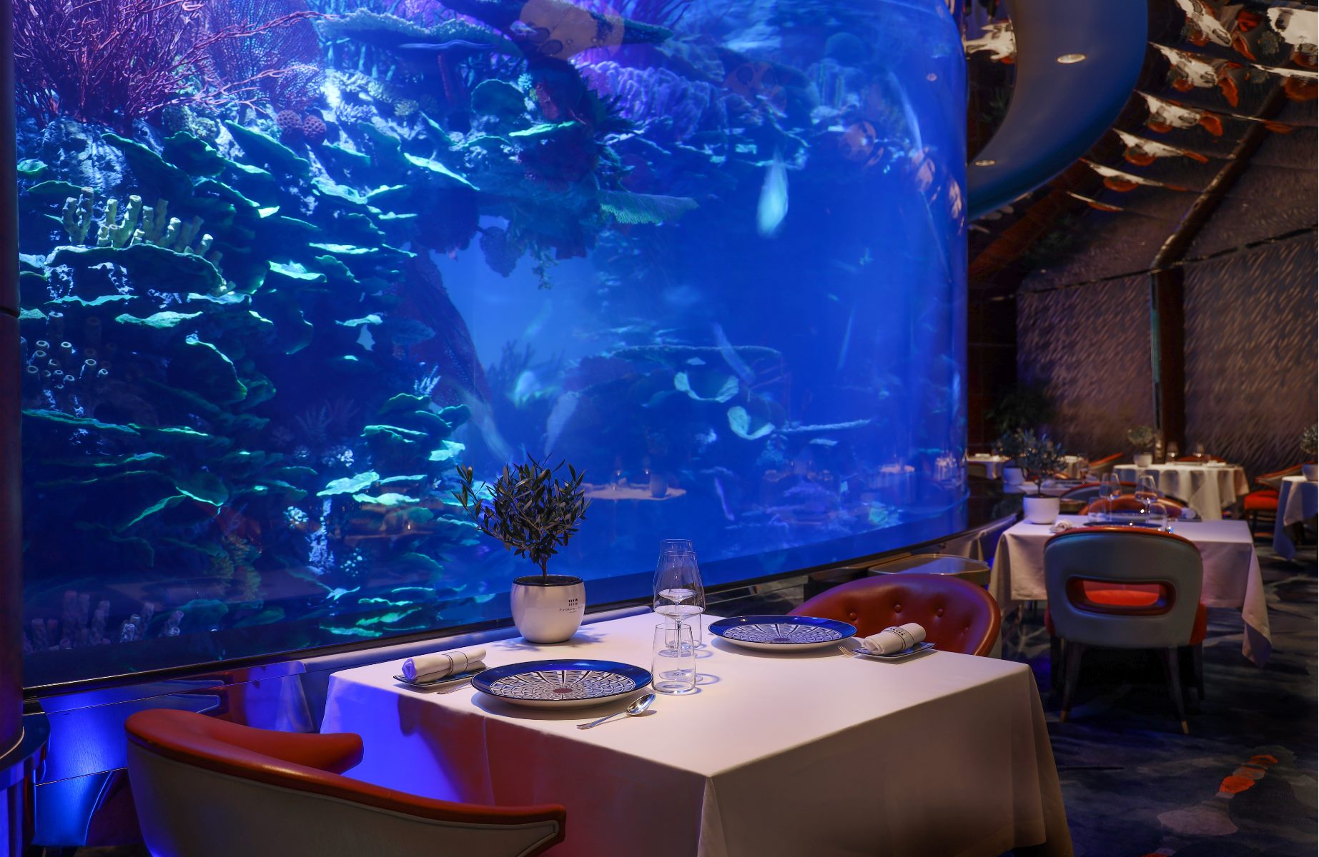 L_Olivo at Al Mahara