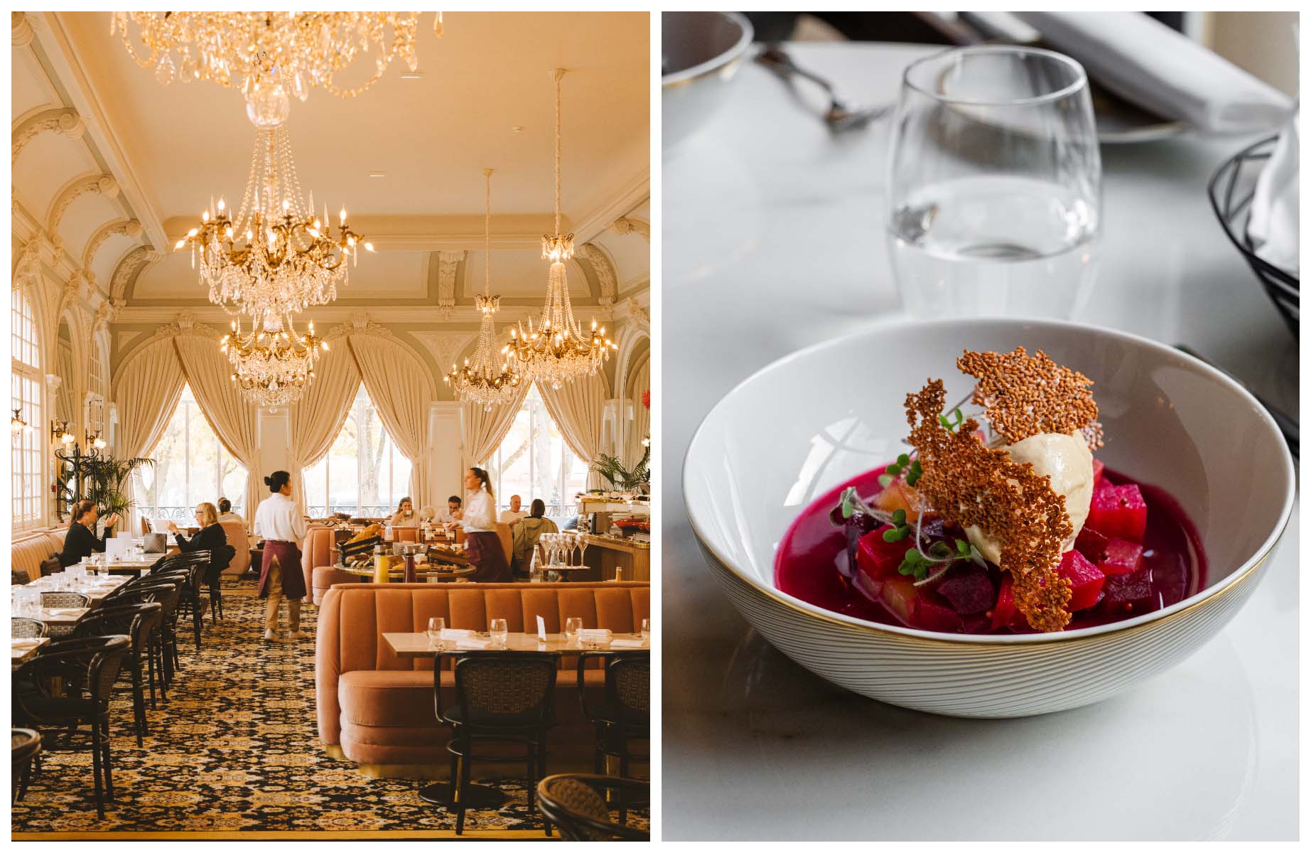 Interior of the dining room at the Hôtel des Lumières and a dish from the Table des Lumières restaurant. © Joann Pai/The MICHELIN Guide (d) - © Antoine Bonin/La Table des Lumières