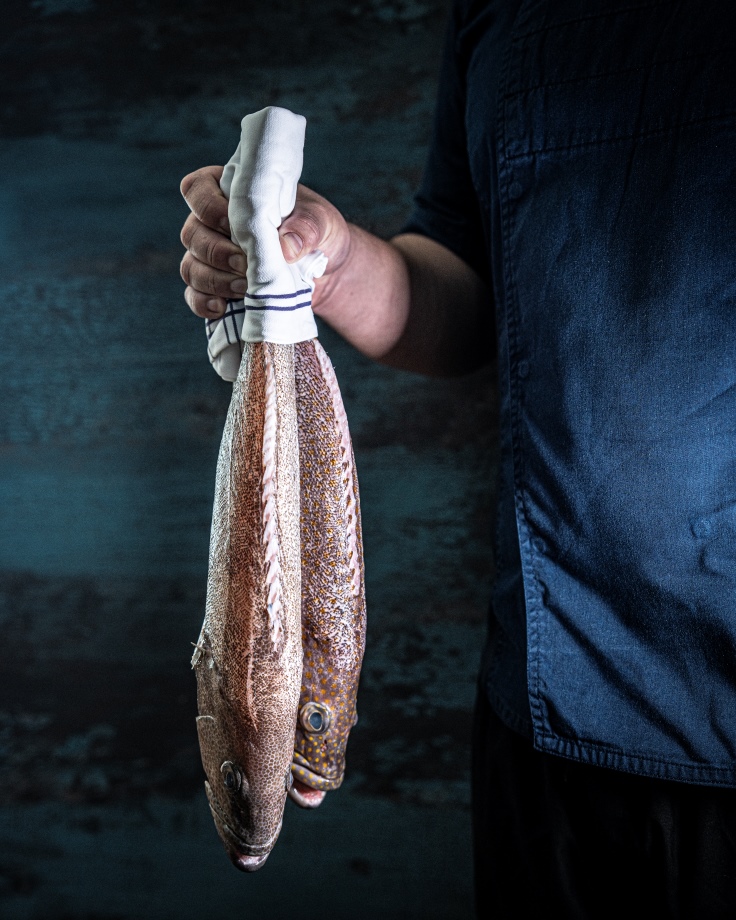 chef-frank-ponce-holding-hammour-fish-doha-la-mar.jpg