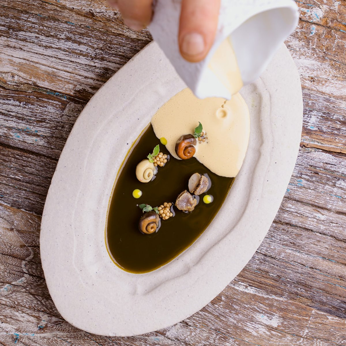 El impecable plato Cañaillas en sopa fría moruna, del restaurante con tres Estrellas MICHELIN Aponiente, en El Puerto de Santa María. © Aponiente