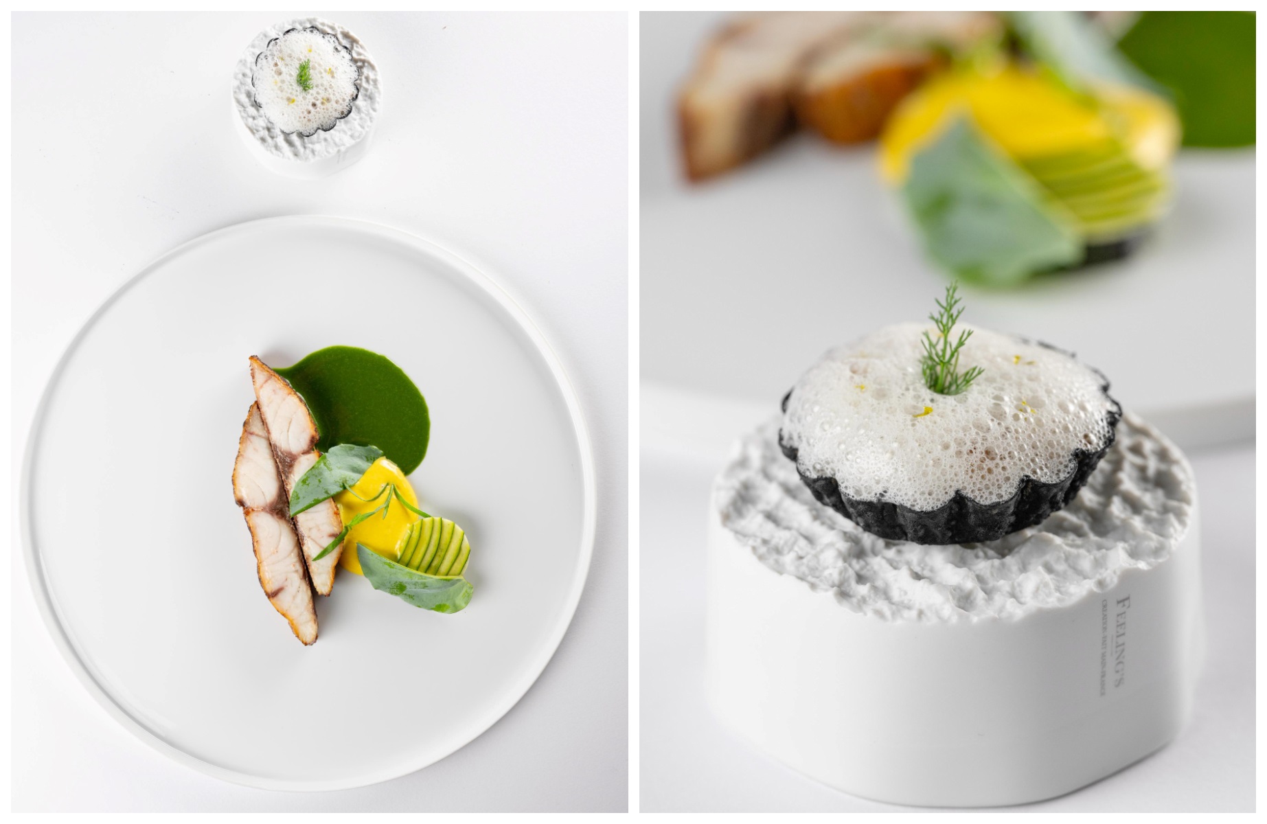 Retroscena_Ombrina in due servizi