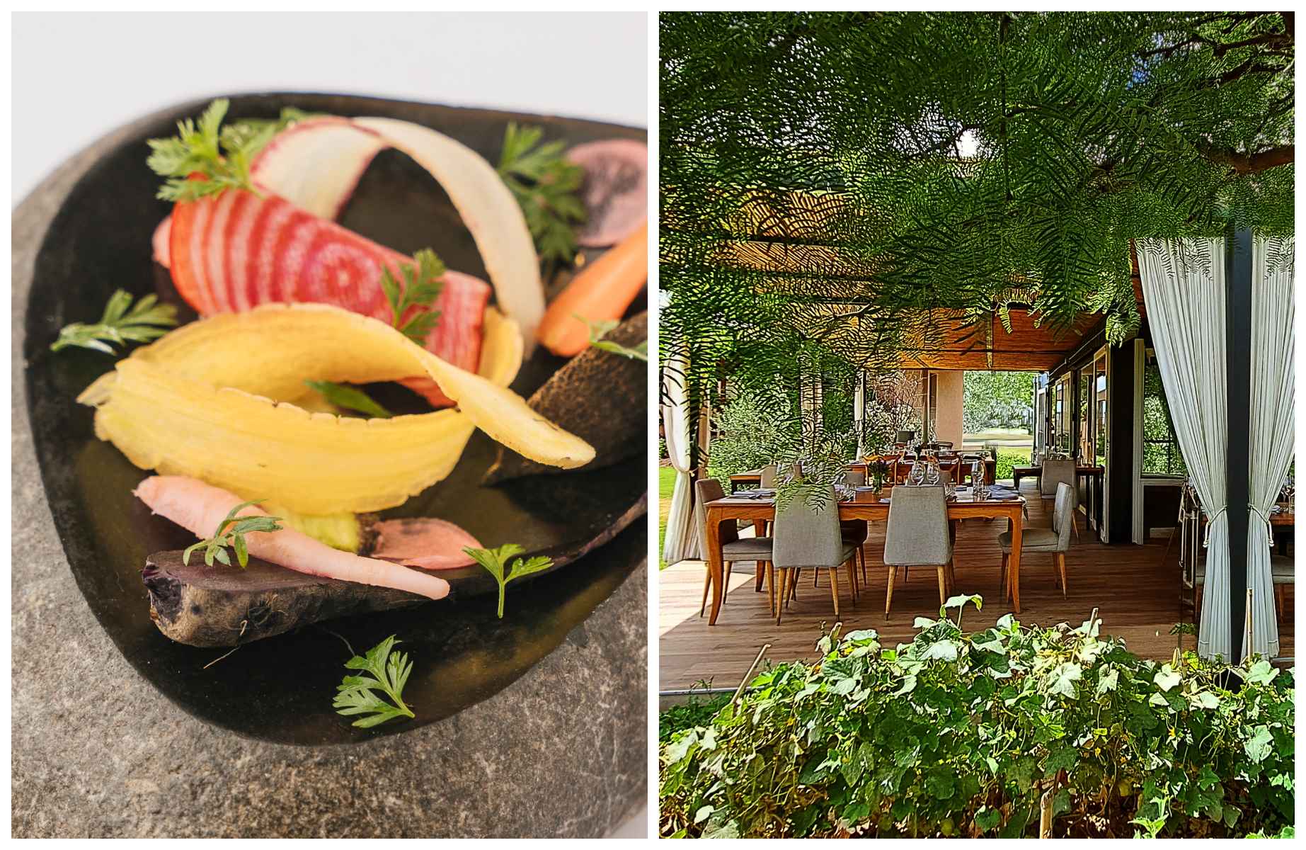 El plato Raíces está elaborado con ingredientes cultivados en los alrededores del restaurante Riccitelli Bistró, en Las Compuertas (Mendoza). © Riccitelli Bistró