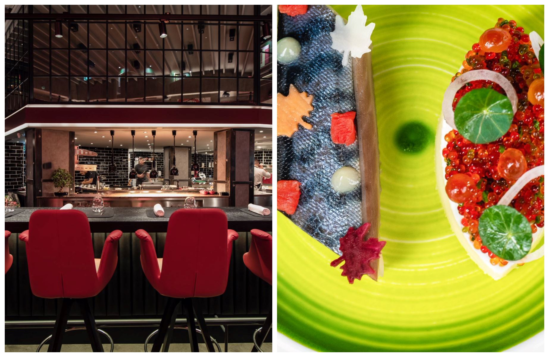 The chef’s area at Rumour provides a direct view of Chef Jenő at work, where refined dishes inspired by his travels are prepared with precision and served with carefully selected wine pairings. © Seregélyes Gábor/Rumour