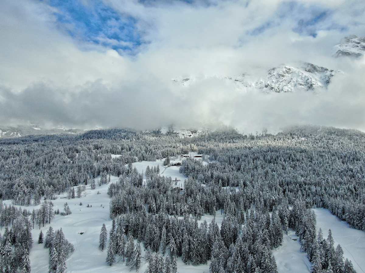 The Dolomites area is covered in snow-dusted pine trees in winter. © Pietro Albarelli 