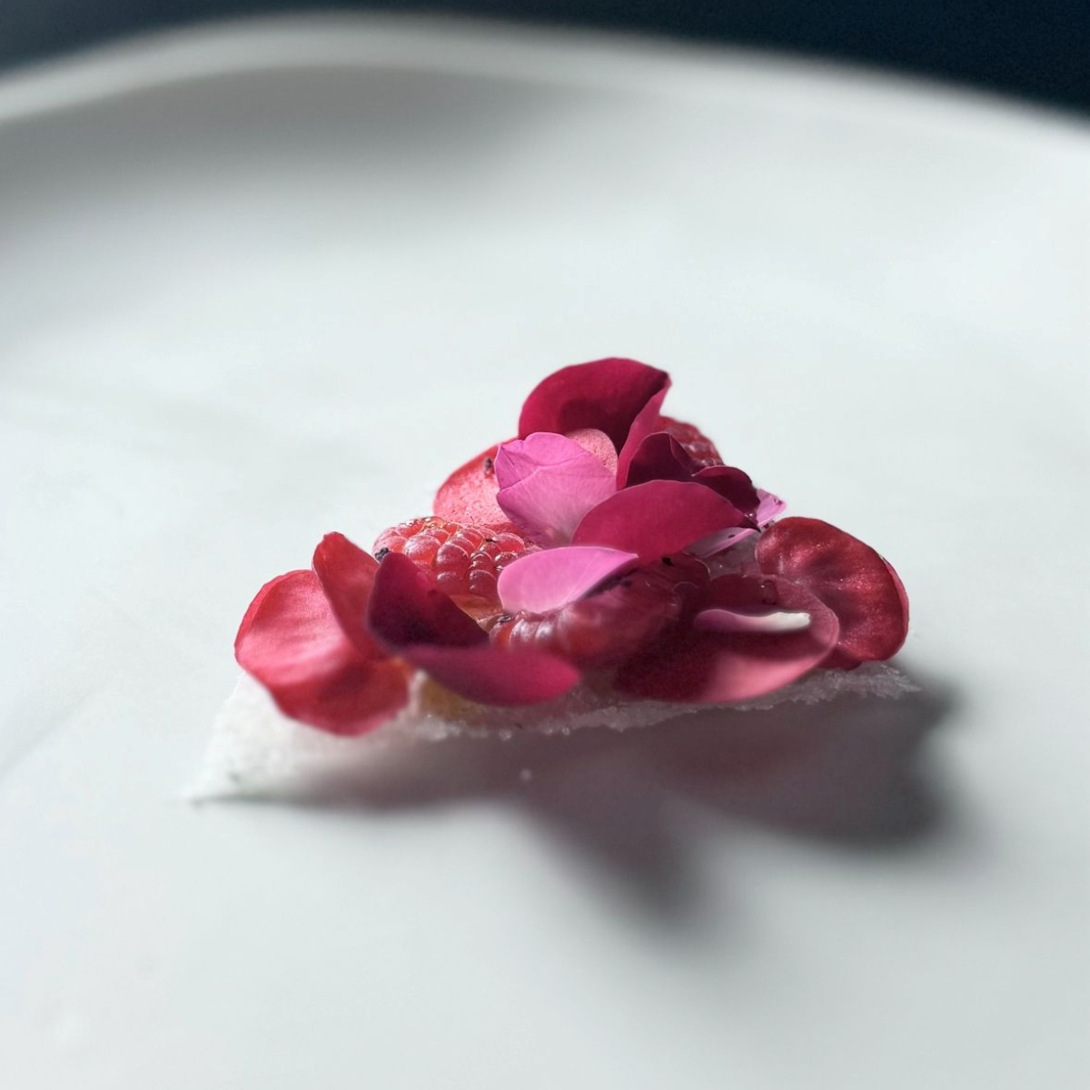 La fusión de la cocina kaiseki japonesa con los productos, sabores y tradiciones característicos de Cataluña y España es la seña de identidad del restaurante SCAPAR, galardonado con una Estrella MICHELIN en Barcelona. © SCAPAR