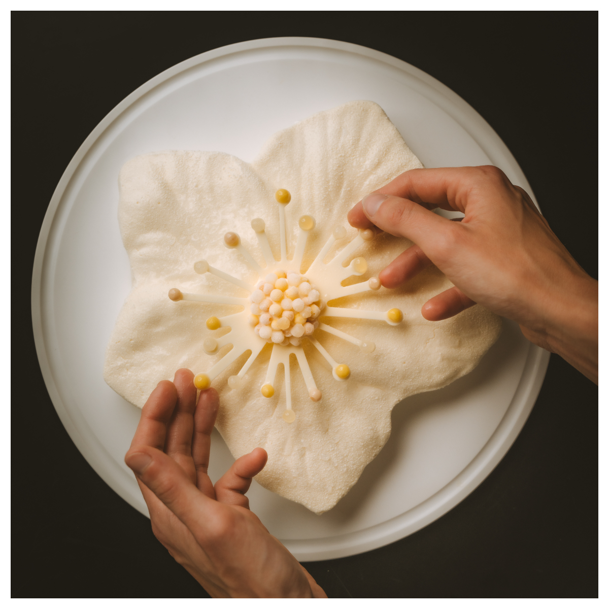 « Hellébore », la bûche de Noël 2025 du Royal Champagne Hôtel & Spa (Epernay) © Royal Champagne Hôtel & Spa