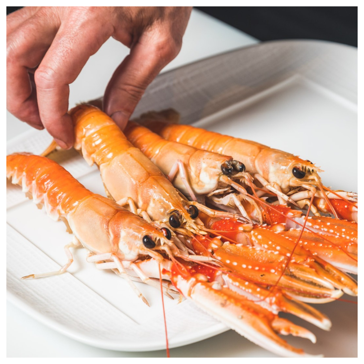 © Atelier Joël Robuchon - Etoile (Paris)