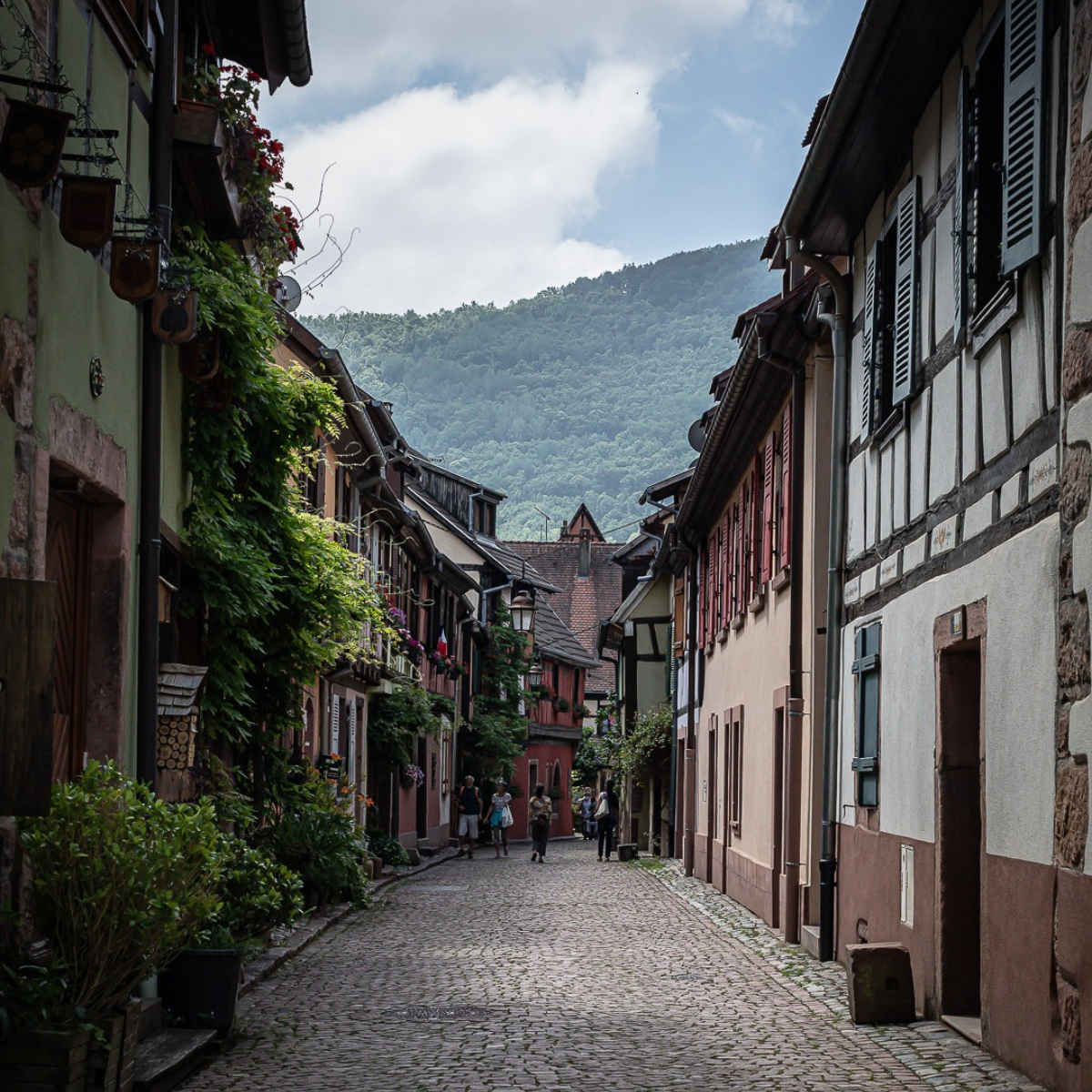 Les maisons à colombages de Kaysersberg © Ilya Kagan