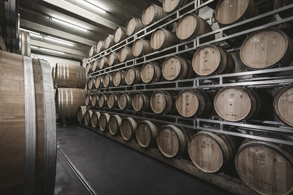 Dveri Pax - cellar - Leitner 