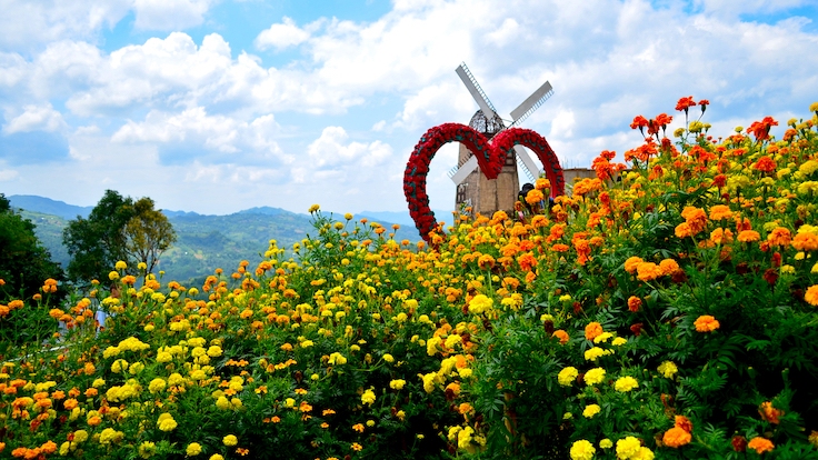 시라오 가든 (©JJ Gutierrez)