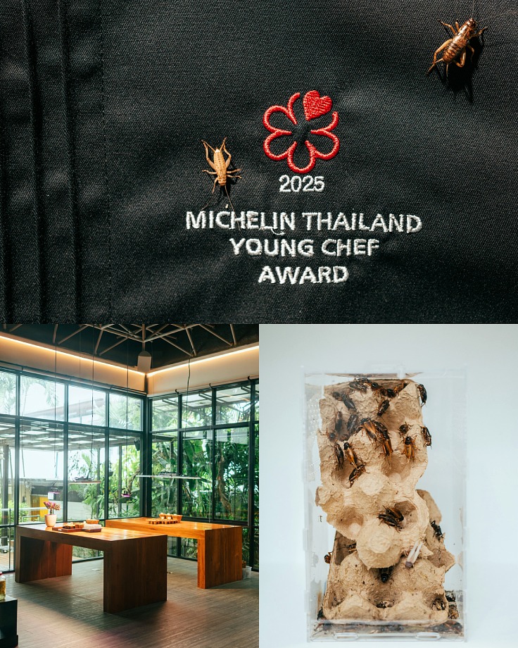 The newly renovated insect lab at AKKEE. (© Anuwat Senivansa Na Ayudhya/The MICHELIN Guide Thailand)
