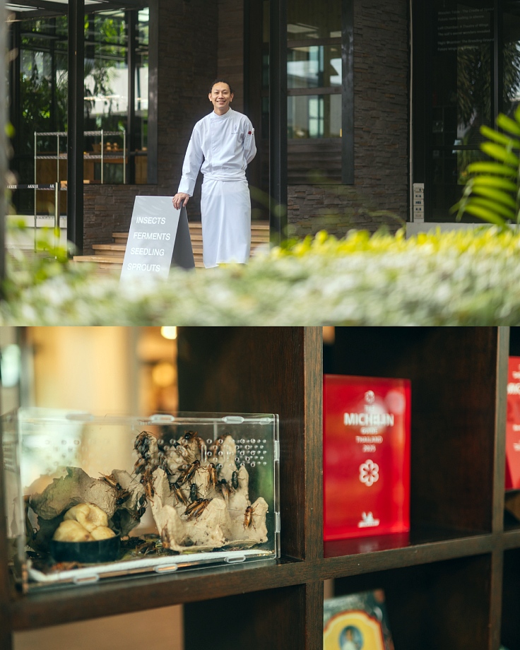 Chef Sittikorn "Au" Chantop. (© Anuwat Senivansa Na Ayudhya/The MICHELIN Guide Thailand)