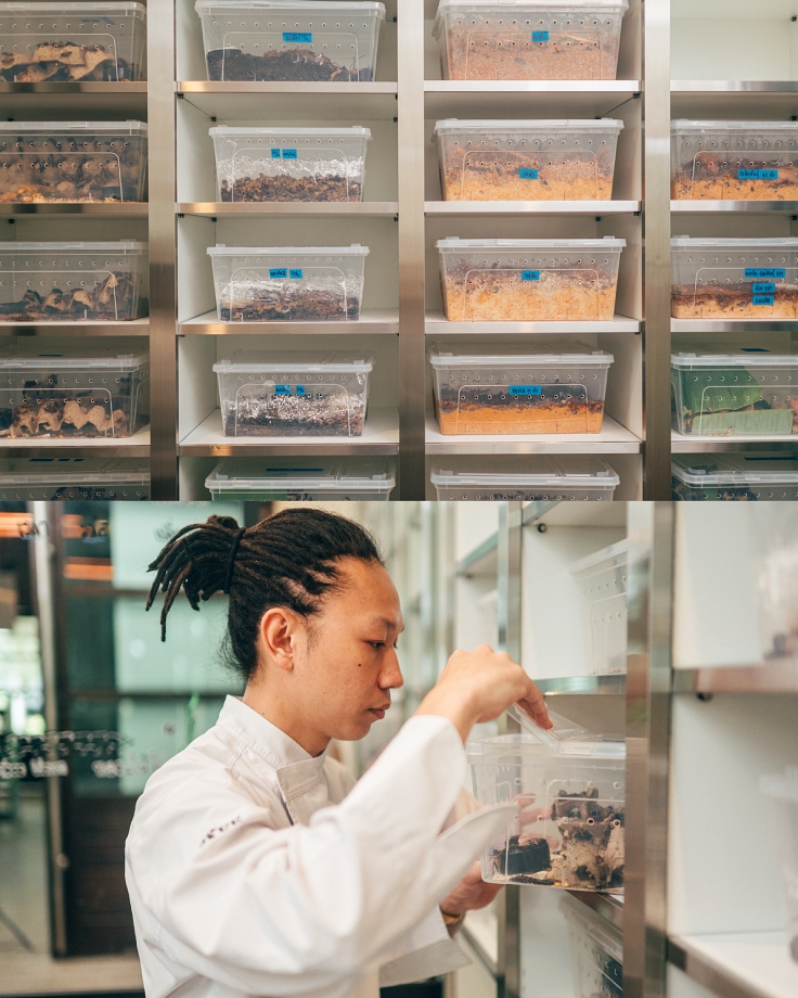 The lab is situated in Nonthaburi. (© Anuwat Senivansa Na Ayudhya/The MICHELIN Guide Thailand)