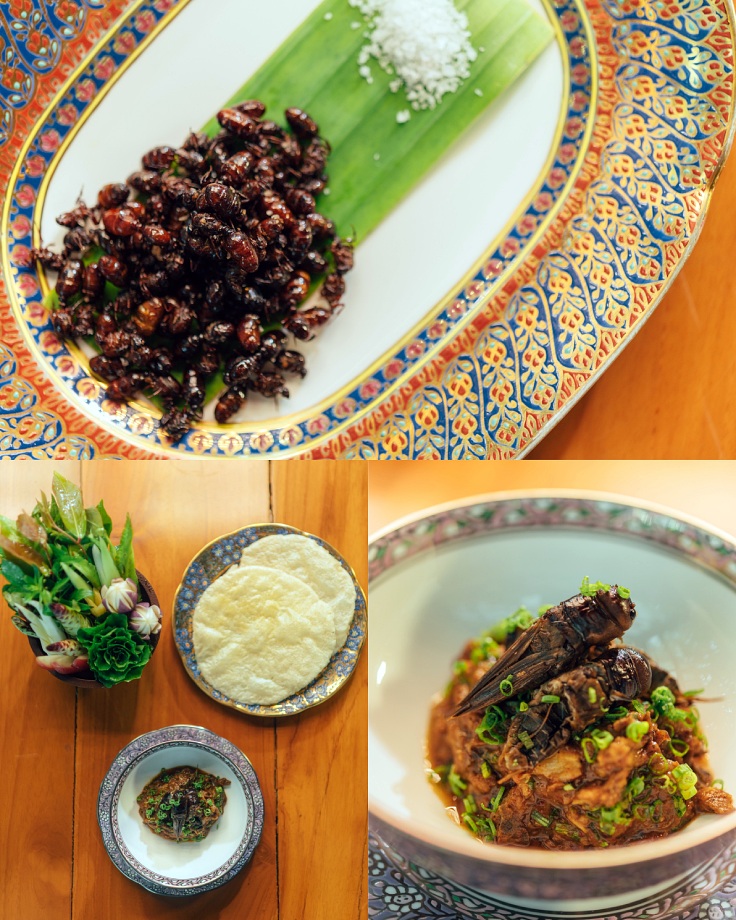 Queen ants, field crickets and chili relish. (© Anuwat Senivansa Na Ayudhya/The MICHELIN Guide Thailand)