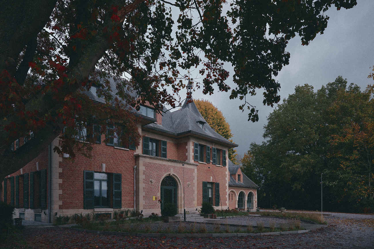 Basile © Anthony Florio