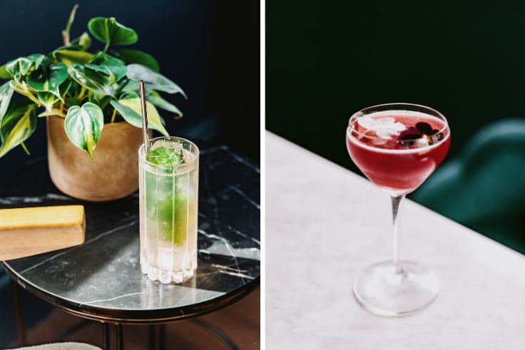 The Garden Shrub and a blueberry and chocolate creation are among the non-alcoholic drinks at Killiecrankie House. © Alex Baxter