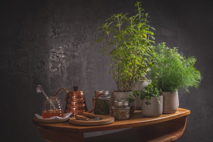 Moor Hall's tea selection complements the kitchen's Three-MICHELIN-Star food. © Mark Bristol