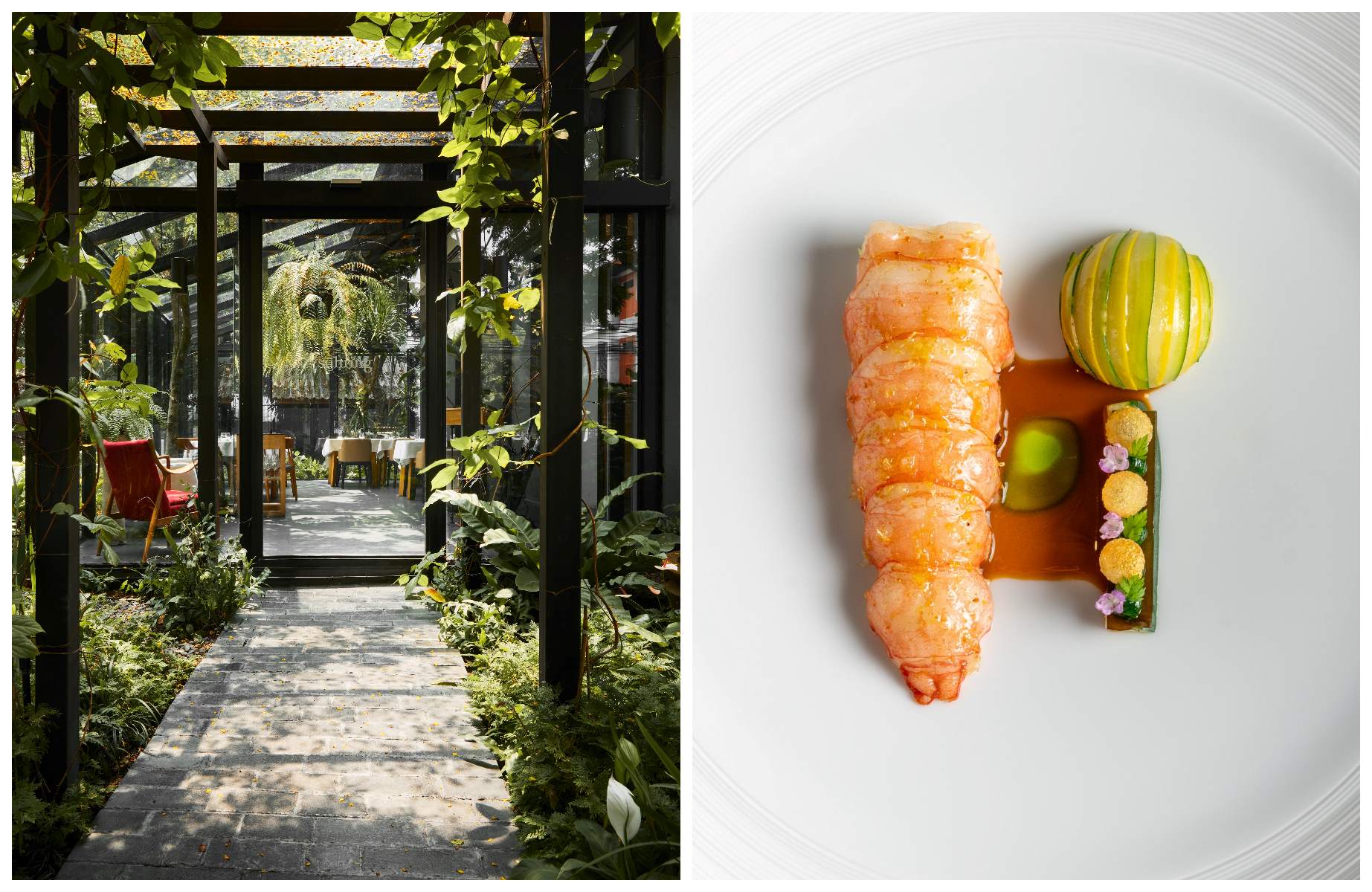 Twins Matthias and Thomas Sühring transform family recipes and German techniques into a modern tasting menu, set in a restored 1970s villa where every dish is as visually striking as it is flavorful. © Diego Arenas/Sühring