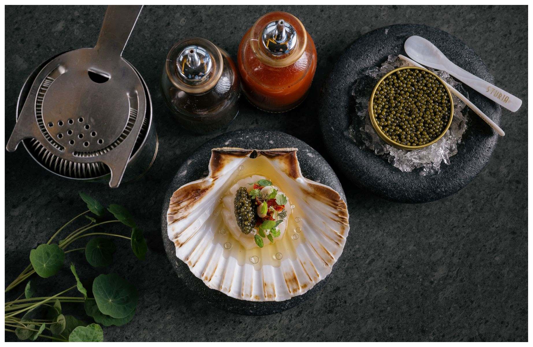 'Lightly Cured Hand-Dived Scallop, Tomatoes From Our Polytunnel and Their Essence' from Forest Side, Grasmere. © Forest Side