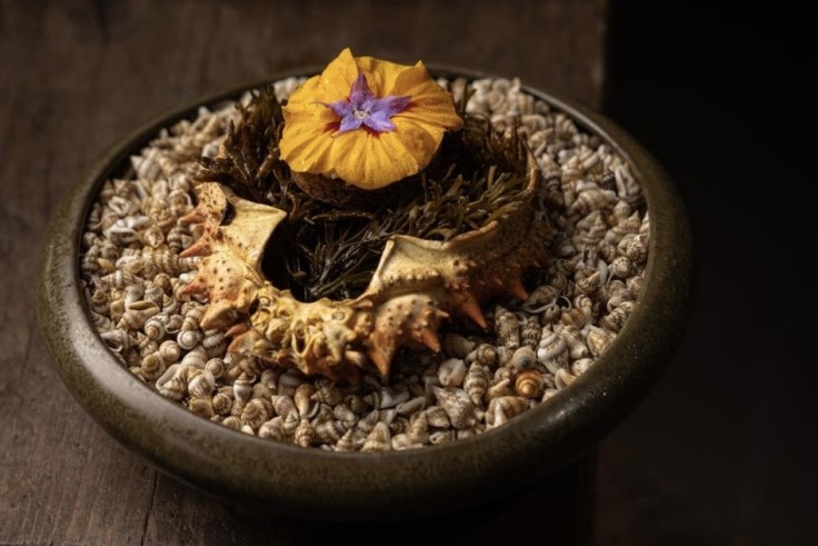A snack from LIGИUM, where cooking over fire is the bedrock of the menu. © Ruth Calder-Potts /LIGИUM