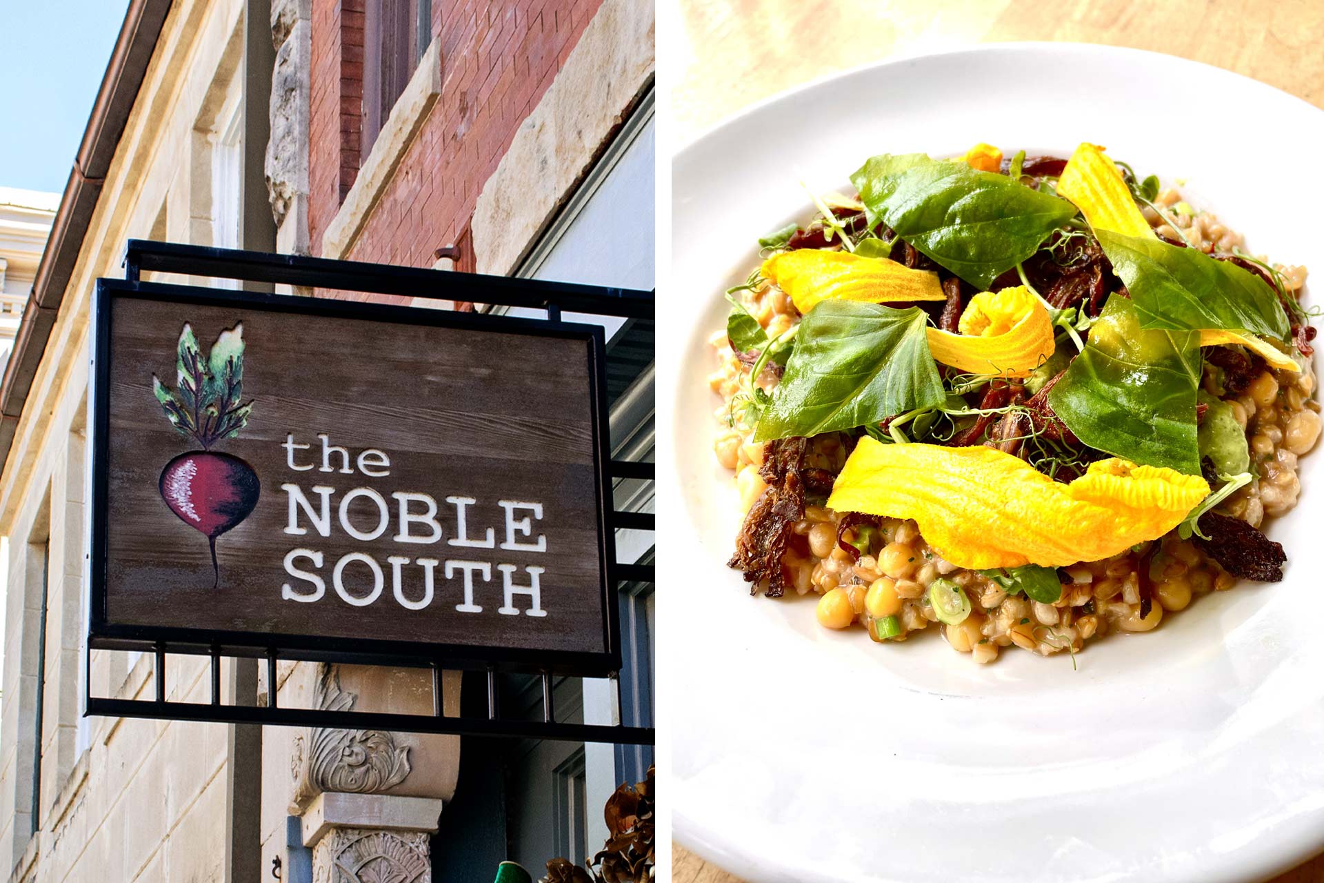 © Marylyn Gafford/The Noble South