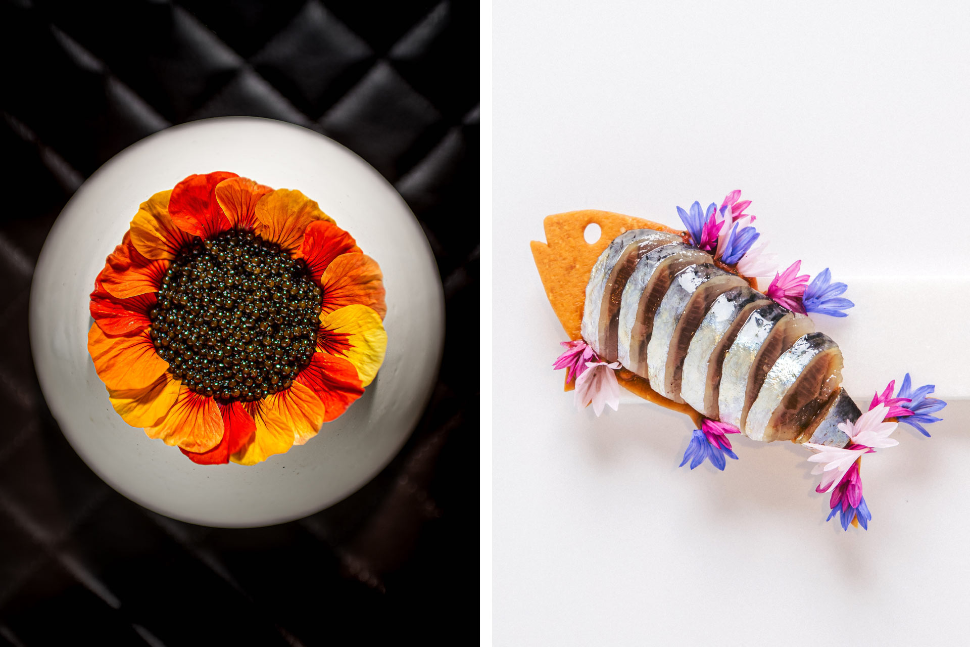 ©Rey Lopez/minibar | ©Jill Paider/Somni