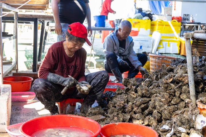 Lau Fau Shan is renowned for its oysters. © Shutterstock