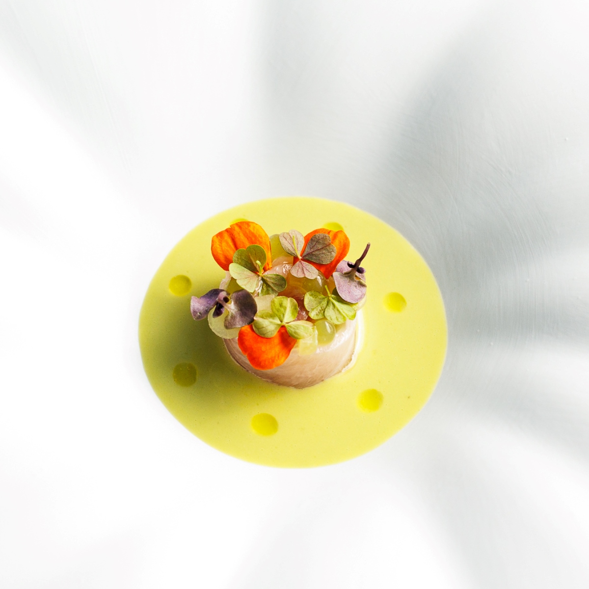 The "Fauna and Flora" tasting menu at Lisbon’s Fifty Seconds restaurant blends Mozambican, Indian and Portuguese influences, executed with precision and artistry. © Henrique Isidoro/Fifty Seconds
