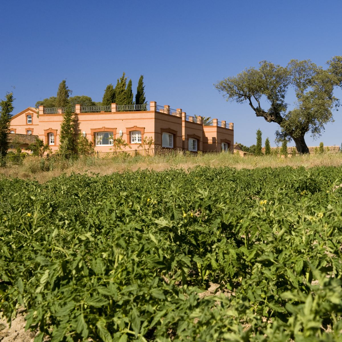 Valdepalacios Hotel Gourmand es un oasis de relax en Oropesa (Toledo). © Valdepalacios Hotel Gourmand