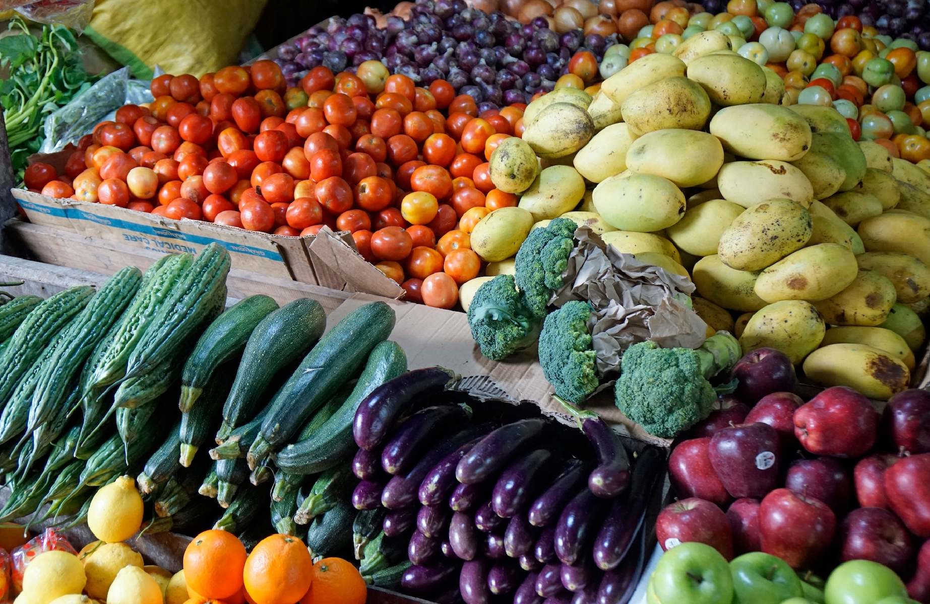 For Navarra, Bahay Kubo is less about a list of vegetables than a way of looking at the world: to be inspired and sustained by what surrounds you. © Chriss73 / Shutterstock