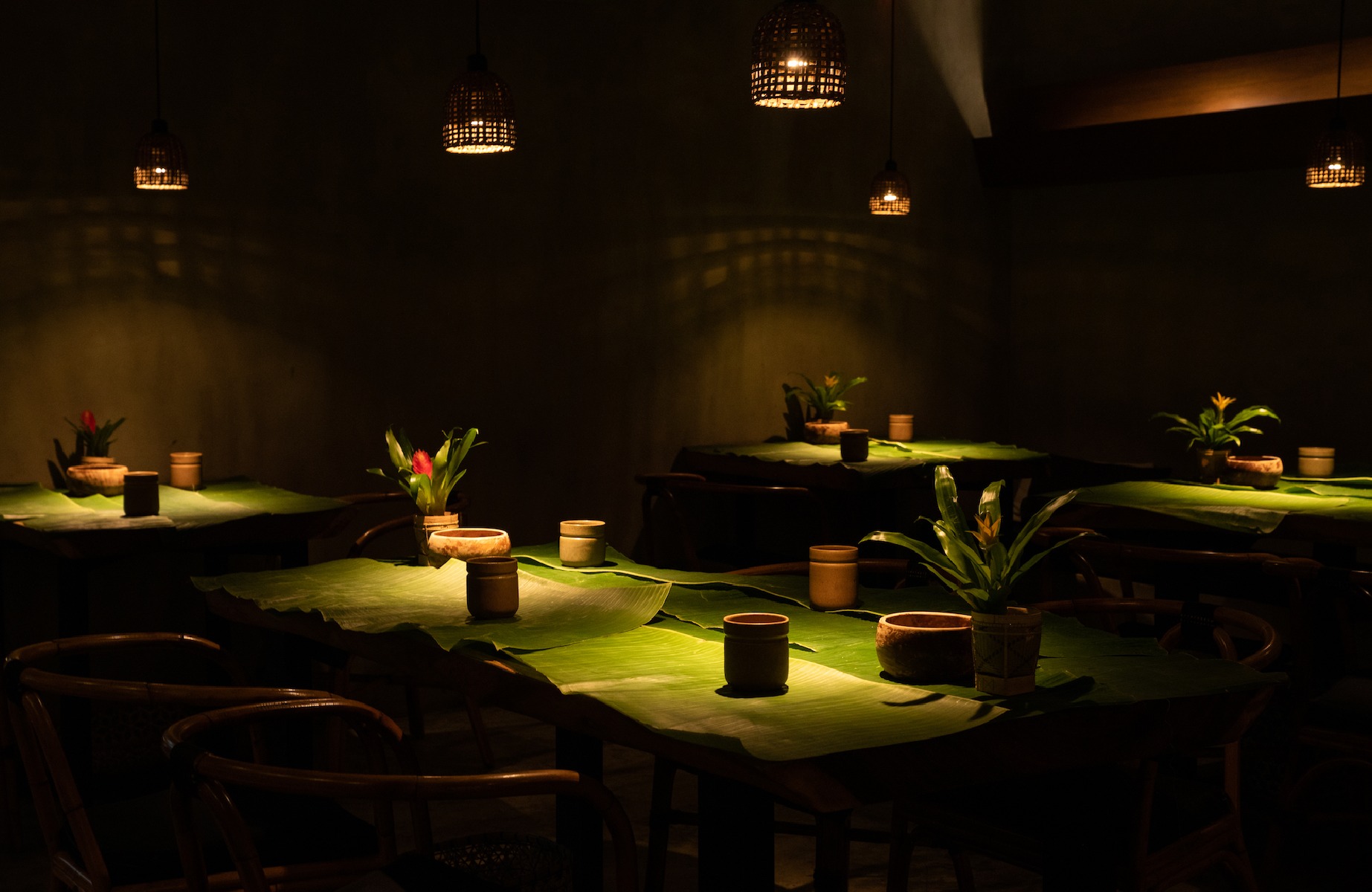For Navarra, local means widespread relevance. If an ingredient, regardless of its origin, has found its way into a culture’s kitchen, garden and rituals, then it belongs. © Toyo Eatery