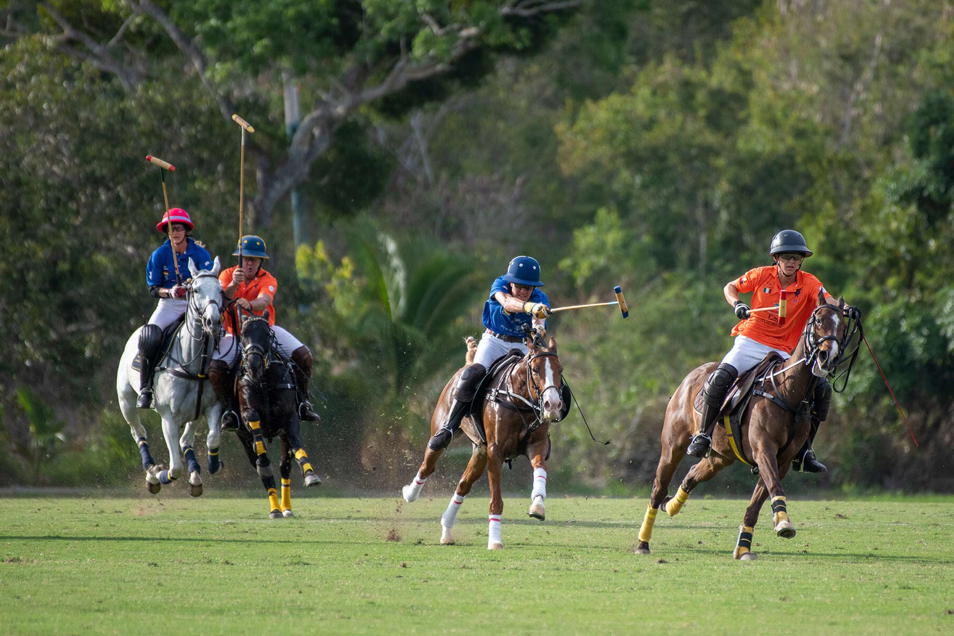 Learn the sport of kings on Mexico’s Pacific Coast. © Bungalows & Casitas de las Flores in Careyes