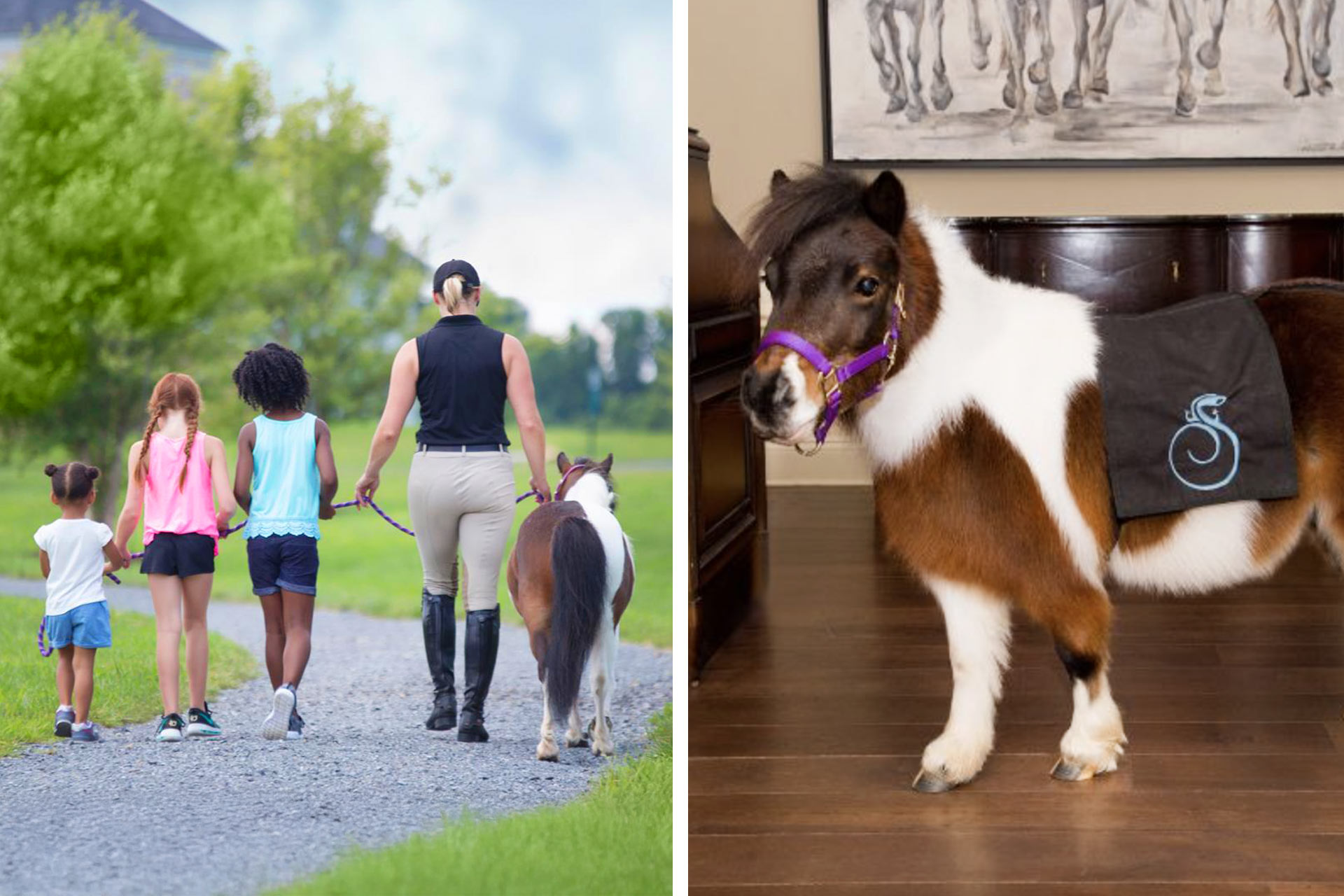Horse rides and pony parties outside of Washington, D.C. © Salamander Middleburg