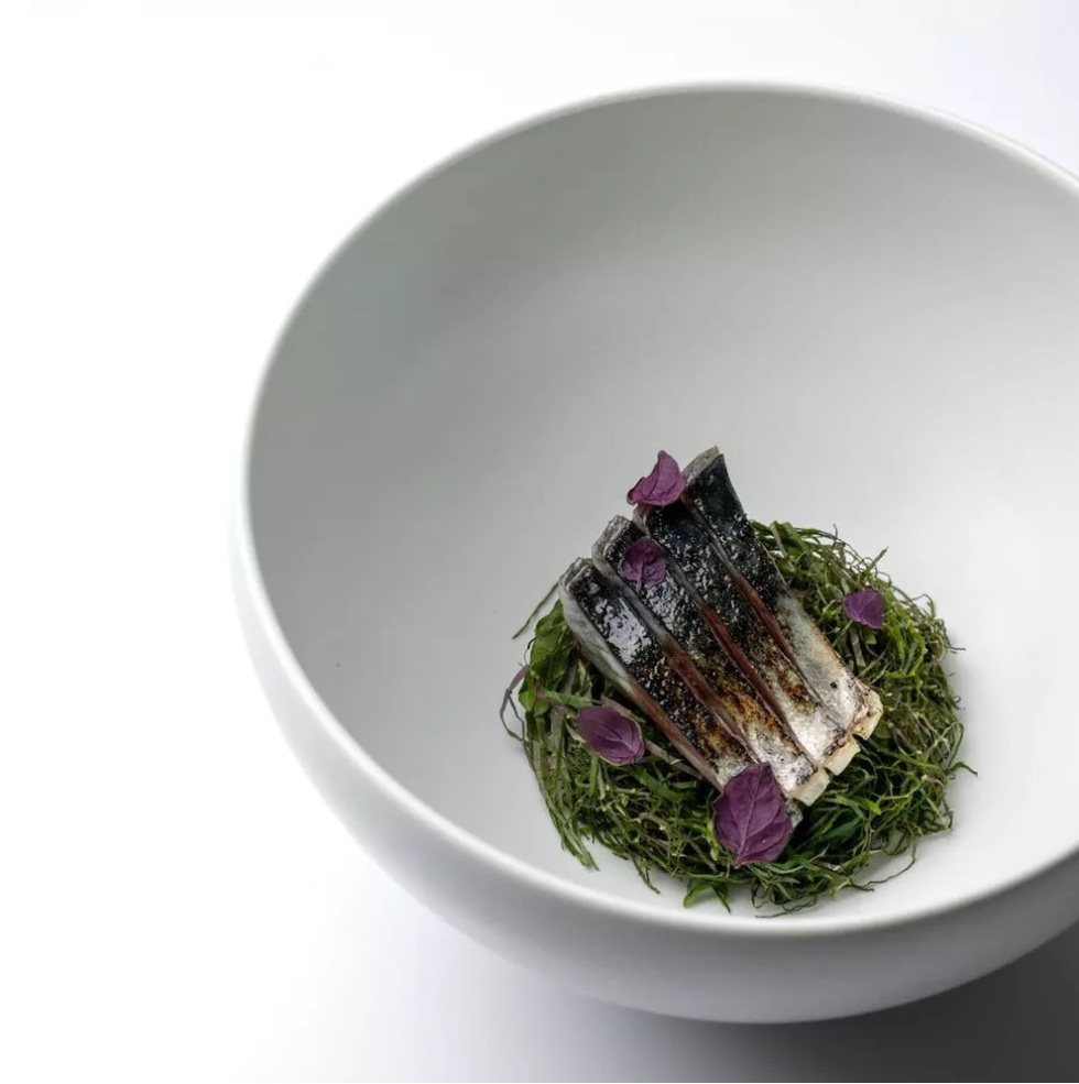 Mackerel at Le DORER © Le DORER