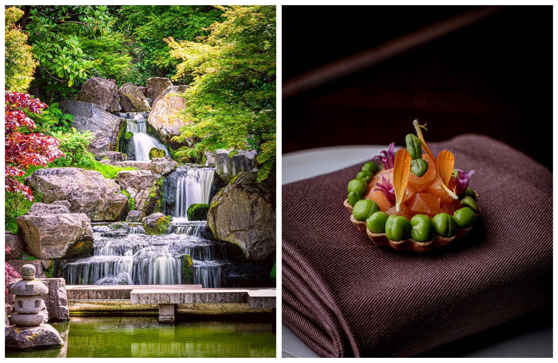 The Kyoto Garden at Holland Park and one of the immaculate dishes from The Cocochine. © ablokhin/iStock, © Lateef Okunnu/The Cocochine