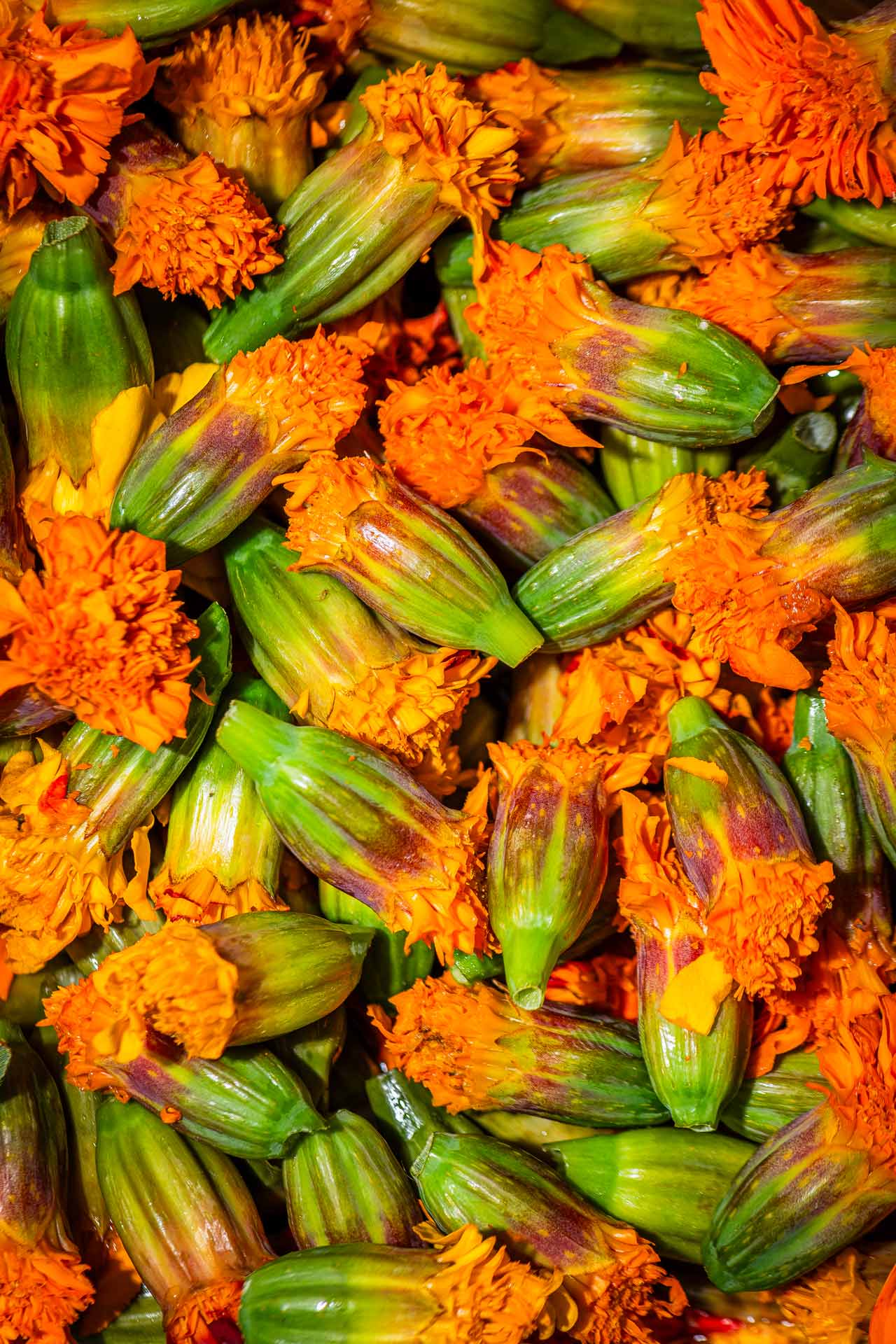 Squash blossoms are just one of the vivid items used in the dishes at Oyster Oyster. © Oyster Oyster
