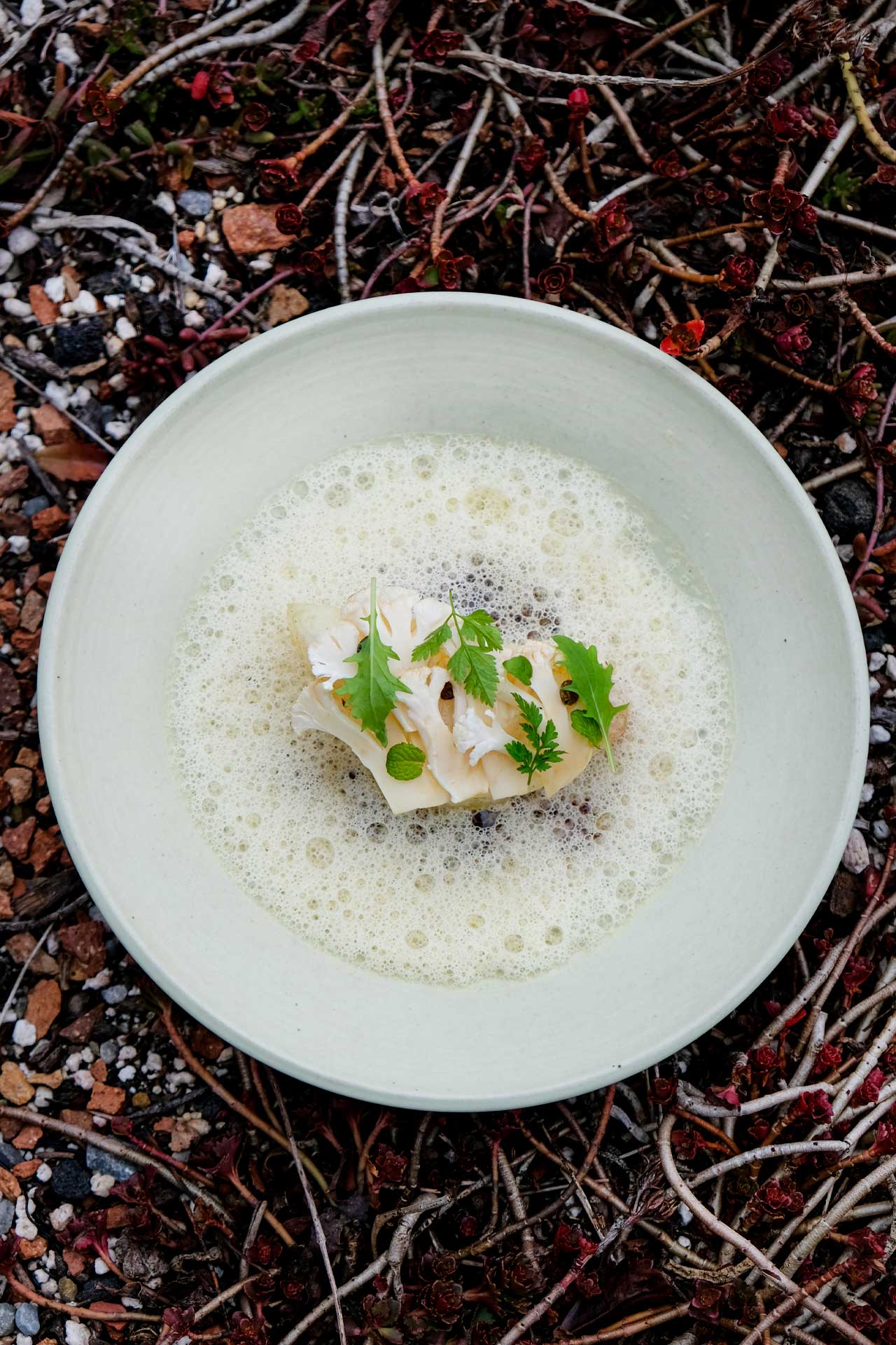 Line Caught Halibut with Mizuna, Young Mustard, Cherville © Alex Creglia
